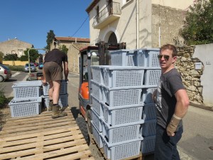 Gavin Monery loading grapes chez Coutelou