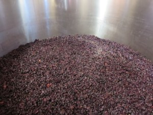 Casse tetes in tank, the skins, pips etc on top of the wine