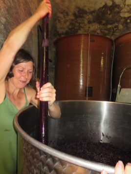 Lechapeau est vraiment tres dense donc Tina doit utiliser toute sa force pour faire la pigeage