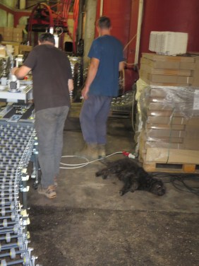 Icare n'est pas trop impressioné de la nouvelle machine