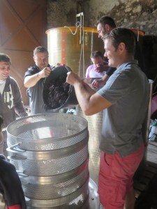 Loading the grapes into the cage
