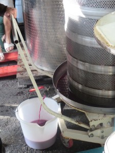 First juice runs freely even before the pressing