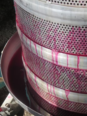 Regard la couleur étonnante!