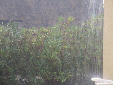 Outside our door in Margon