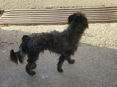 On a less serious note, not just the vines have been pruned!!