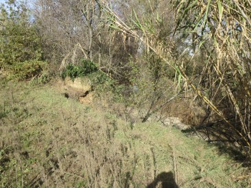 Puimisson, le petit ruisseau (au fond) a atteint les branches des arbres