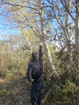 Jeff pointing to debris from the stream in the tree branches