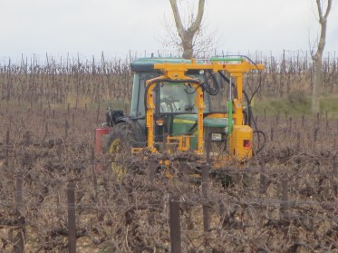Machine pruning vines, the yellow arm contains the blades