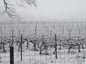 February 3rd - the view from our back window