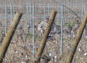 Believe it or not it was quite warm despite Jeff's attire