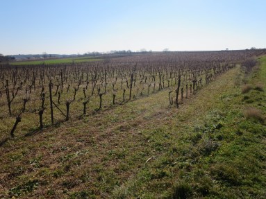 Smaller Metaierie parcel