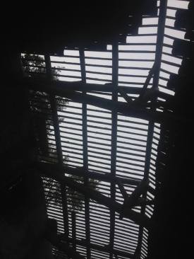 11756653_10153433806718194_818533321_n