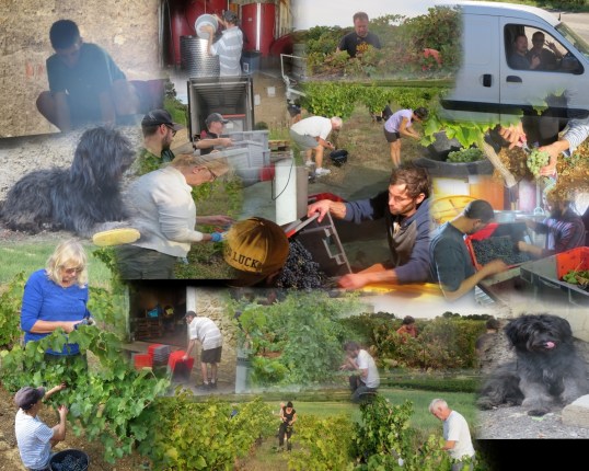 Julien Muscat Collage