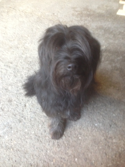 BC186F28-FF17-4F98-B8FF-897185CFA2CA