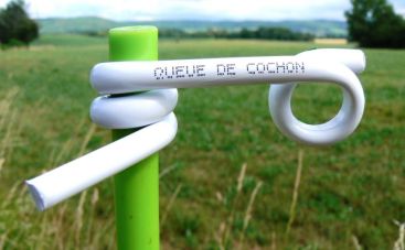 isolqueuecocgr_vignette