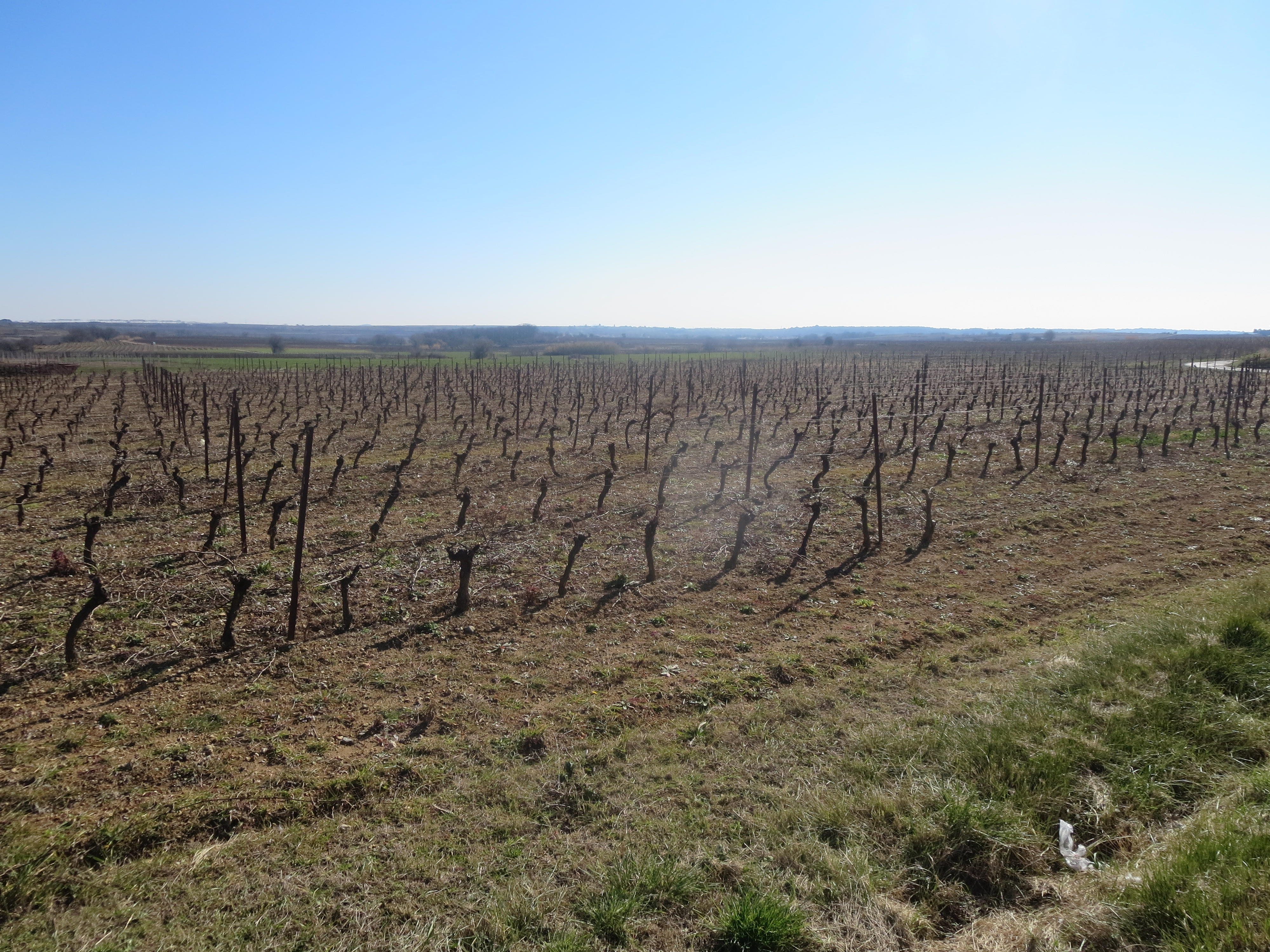 IMG_0736